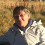 Profilfoto av Marie Nordström(de Verdier)
