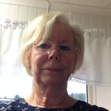 Profilfoto av Vivi-Ann Englund