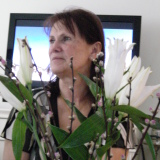 Profilfoto av Solveig Andersson