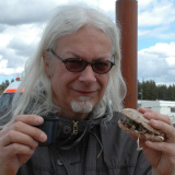 Profilfoto av Jonas Linder