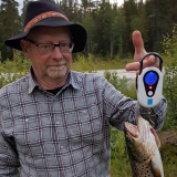 Profilfoto av Bengt Åsberg