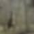 Profilbild på Ashi Ha