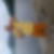 Profilbild på Petri Saari