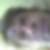 Profilbild på Bo Östrand