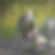 Profilbild på Johan Vikholm