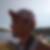 Profilbild på Arvid Björkroth
