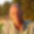 Profilbild på Peter Klintebäck