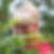 Profilbild på Susanne Sjöland