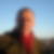 Profilbild på Anders Lidberg