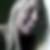 Profilbild på Helle Askov