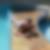 Profilbild på Erik Högberg