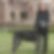 Profilbild på Helén Wieslander