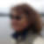 Profilbild på Annebelle Gyllenspetz
