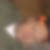 Profilbild på Constantin Holmberg