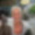 Profilbild på Märta Öhlén