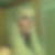 Profilbild på Åsa Sjöstedt