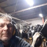 Profilfoto av Mikael Lindgren