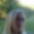 Profilbild på Rozitha Lundquist