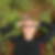 Profilbild på Pär Ohrberg