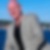 Profilbild på Rolf Gustafsson