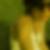 Profilbild på Mahdis Neghabian