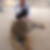 Profilbild på Cia Branér