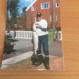 Profilfoto av Charles Gustafsson