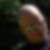Profilbild på Krister Barck