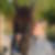 Profilbild på Åsa Serras