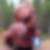 Profilbild på Ingemar Dragon