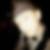 Profilbild på Daniel Bood