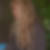 Profilbild på Liz Jarlshed