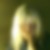 Profilbild på Ylva Öjes