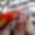 Profilbild på Sandra Olsson