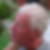 Profilbild på Sören Ericson