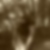 Profilbild på Anders Thimren
