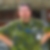Profilbild på Claus Dehlin