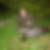 Profilbild på Per Nillson
