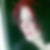 Profilbild på Eleonora Preston