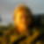 Profilbild på Per Hägglund