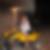 Profilbild på Måna Markström