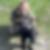Profilbild på Johanna Davidsson