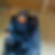 Profilbild på Emma Modig