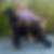Profilbild på Pasi Jokela
