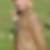 Profilbild på Marie Persson