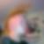 Profilbild på Magnus Mäkelä