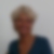 Profilbild på Siv Andersson Scholz