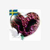 Profilfoto av Anna Lindberg