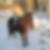 Profilbild på Bibbi Tränk