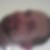 Profilbild på Jesper Bogentoft